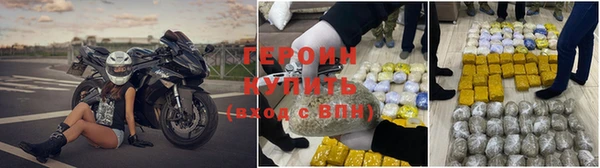 ПСИЛОЦИБИНОВЫЕ ГРИБЫ Арсеньев