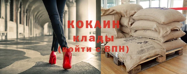 ПСИЛОЦИБИНОВЫЕ ГРИБЫ Арсеньев