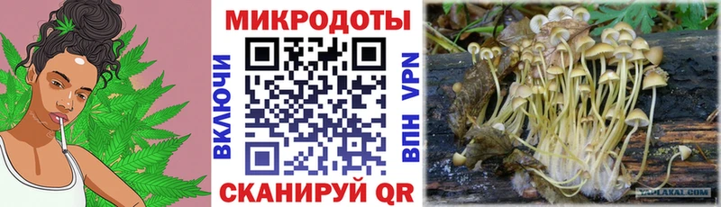 что такое   нарко площадка как зайти  Псилоцибиновые грибы прущие грибы  Чапаевск 